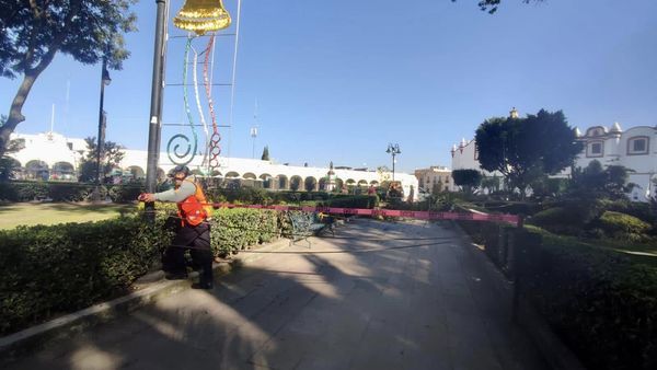 Retiran tres árboles de Plaza de la Concordia por poner en riesgo a paseantes