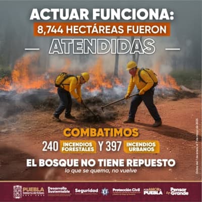 Incendios forestales