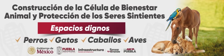 CONSTRUCCIÓN DE CÉLULA DE SERES SINTIENTES