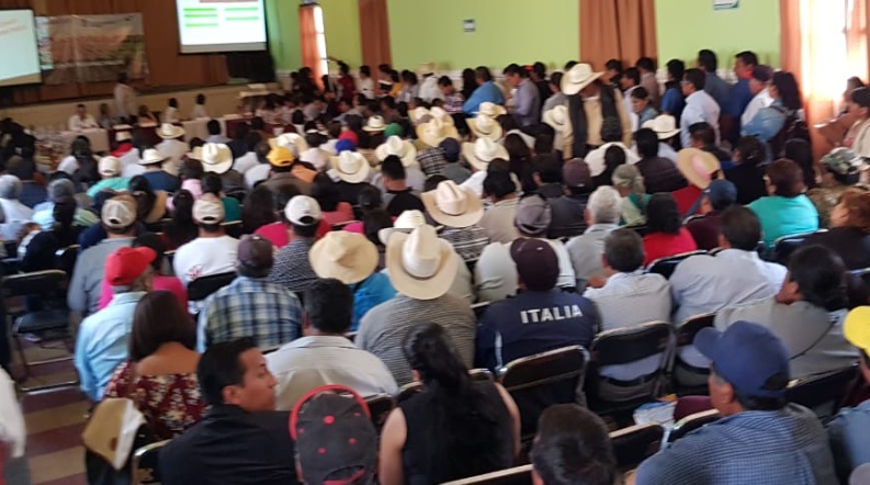 Prevén severas afectaciones en el campo poblano por ola de calor