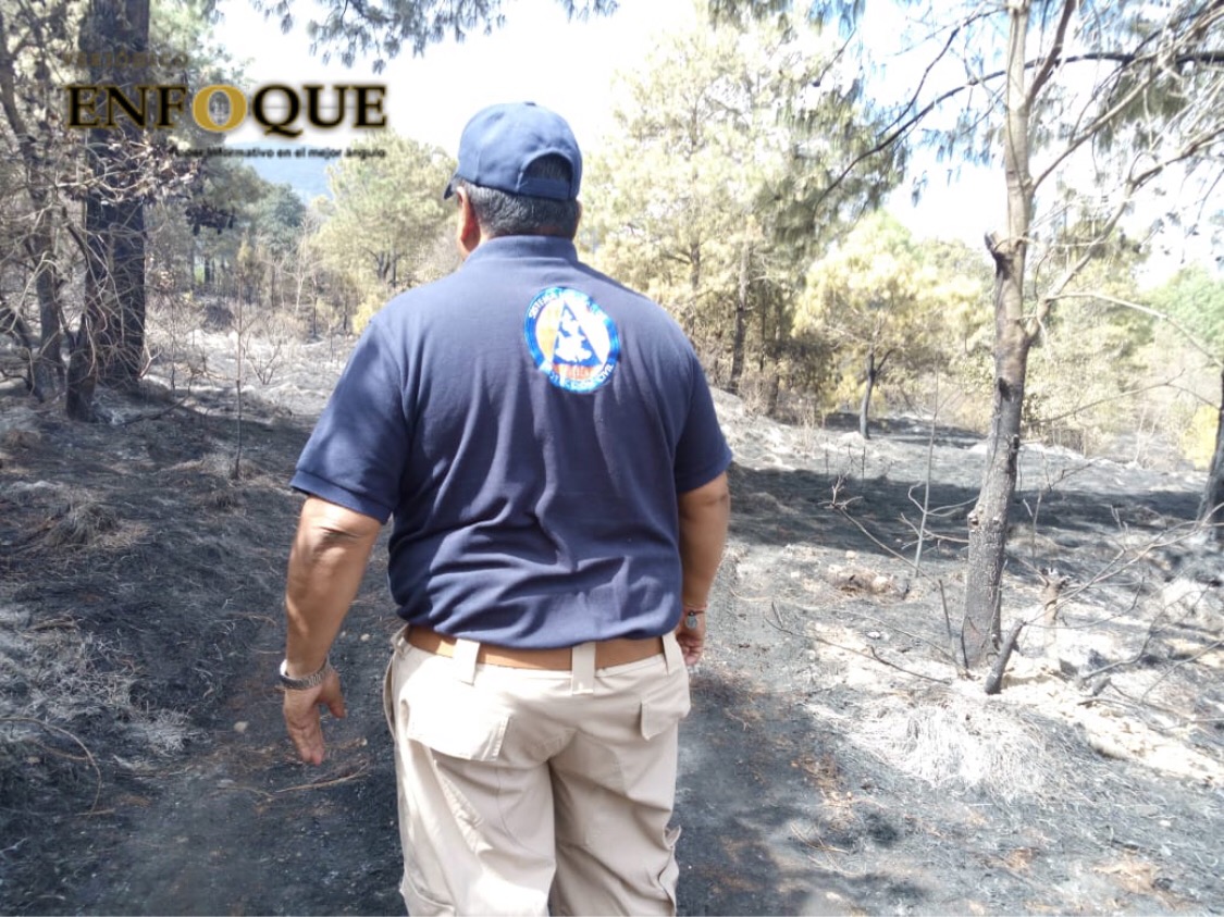 Incendios forestales aumenta en comparación de 2018