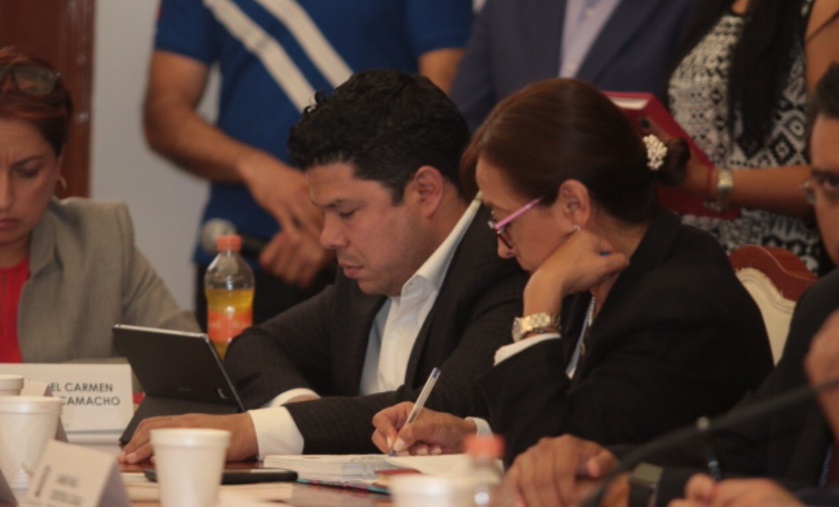 Congreso de Puebla nunca apoyará la eutanasia para animales callejeros: Biestro