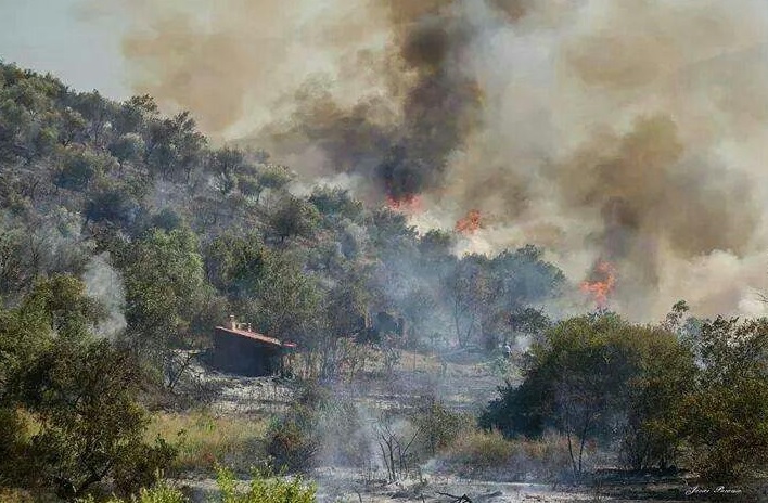 En Puebla fueron sofocados 162 incendios forestales