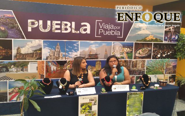 Anuncian puesta en marcha del recorrido “Ruta del Aguacate” en Atlixco