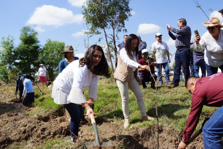 Ordena Guillermo Pachecho reforestar el Cerro Zapotecas y el Parque Bicentenario