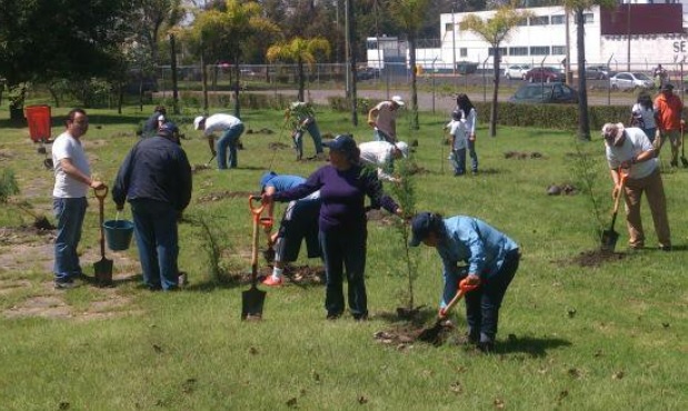 Inician reforestación de más de mil 300 árboles en Puebla