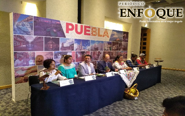 Prevén derrama económica superior al millón de pesos para el primer Festival de Las Luciérnagas