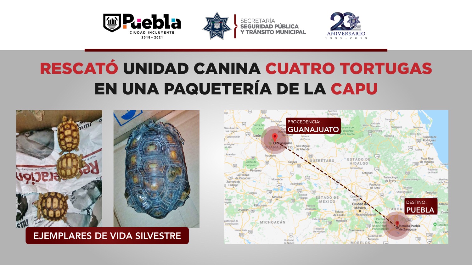 Rescatan a cuatro tortugas en la CAPU