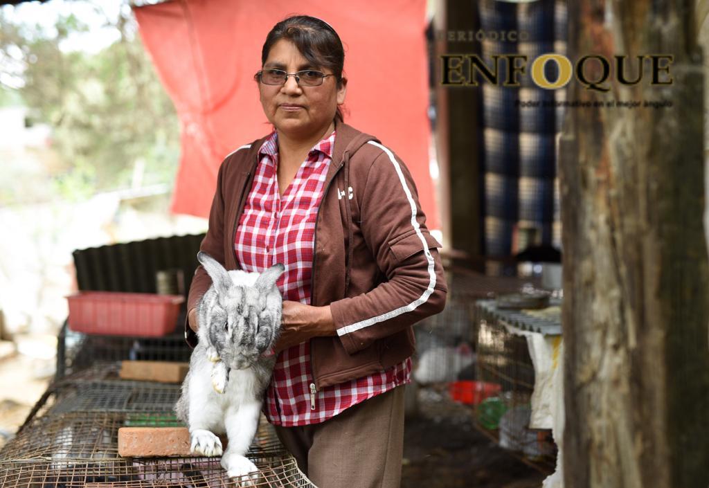 Mujeres de Tepeyahualco consolidad empresa de Cunicultura