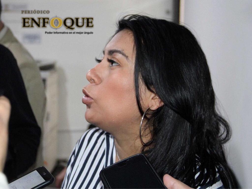 Se buscará disminuir participaciones de partidos políticos: Nora Merino 