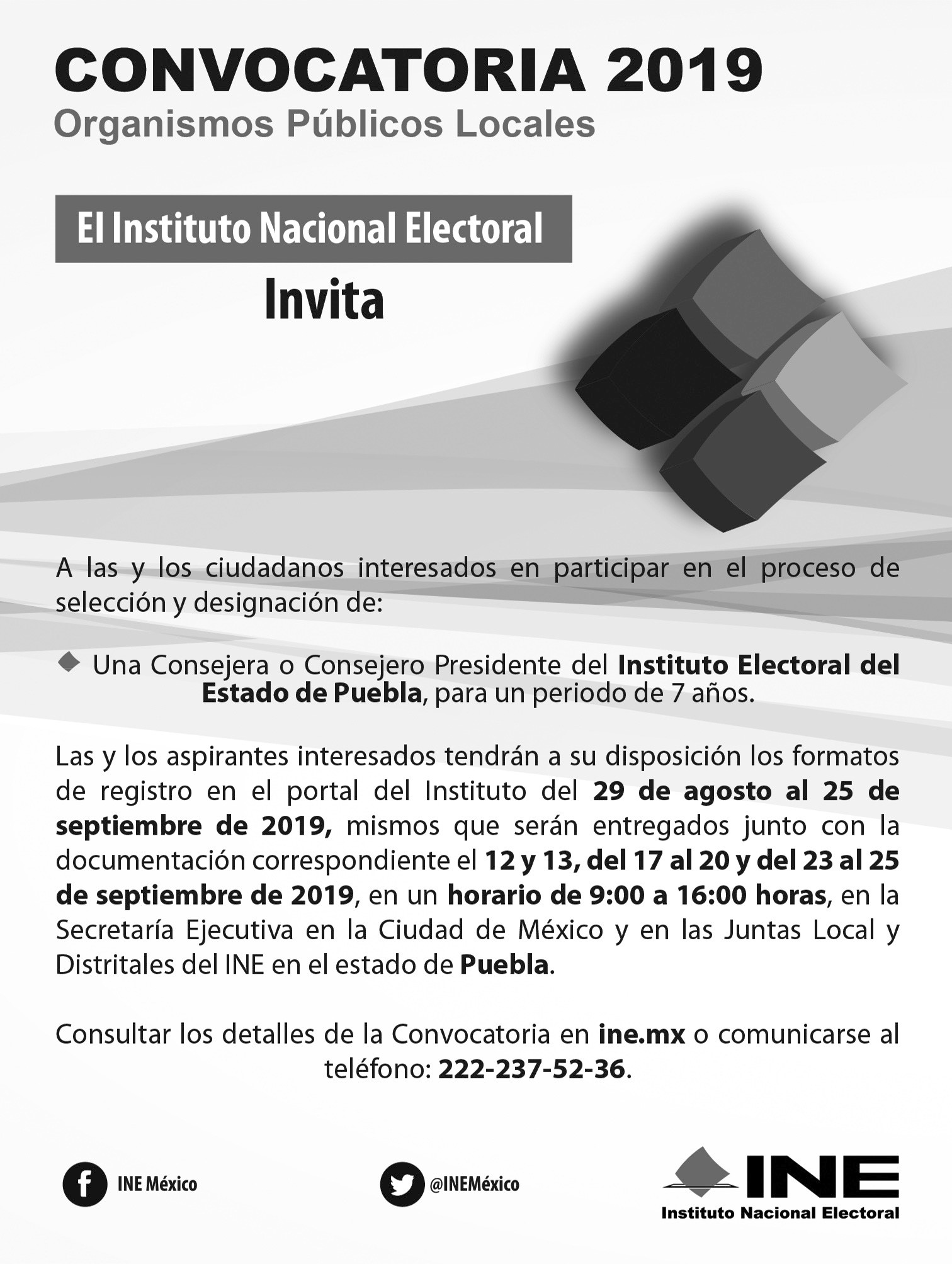 INE lanza convocatoria para elegir al nuevo Consejero Presidente del IEE 