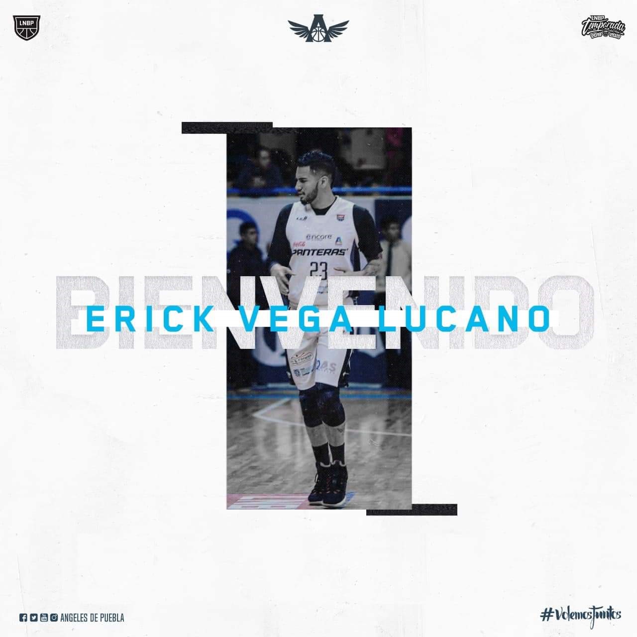 Ángeles de Puebla a suma a exjugador de la NCAA