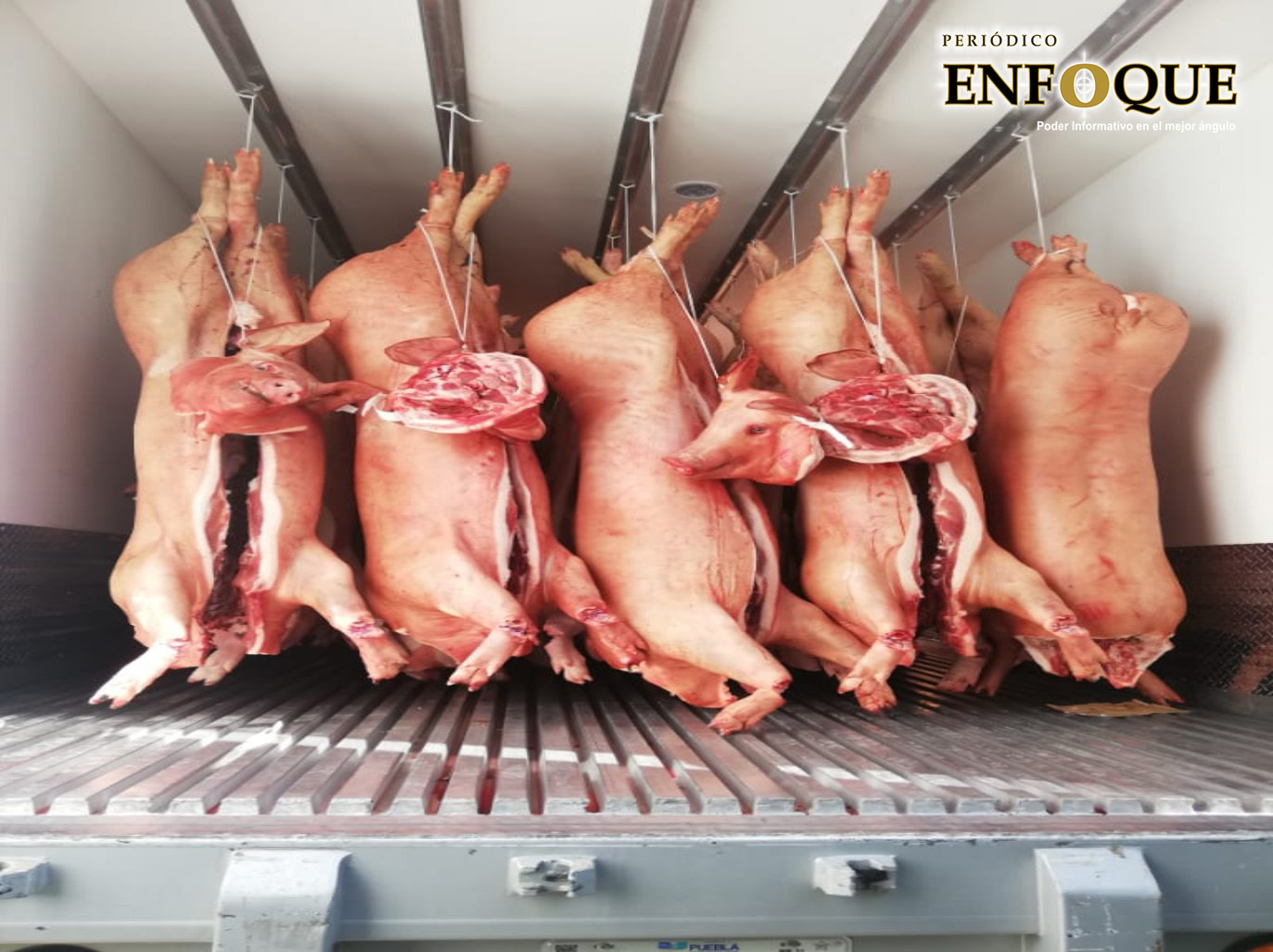 Recuperan camión cargado con cerdos en Tepeaca