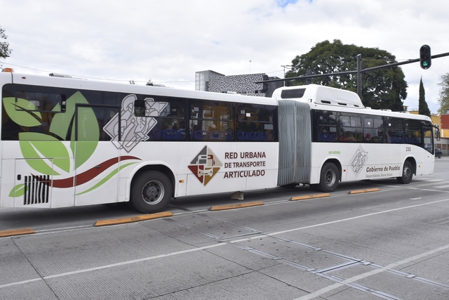 Realizará CCP revisión de 313 unidades de RUTA