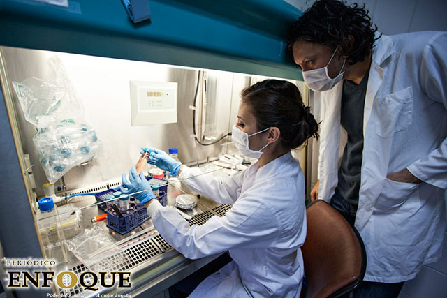 Se registra una nueva cepa de VHI en casi 20 años