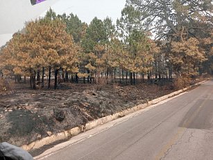 Actualización sobre la contingencia ambiental en Tlaxcala por incendios