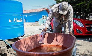 Dengue en Puebla: 4,574 casos acumulados y medidas para prevenir contagios