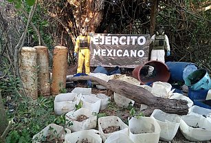 Fuerzas federales aseguran armas y drogas en operativos de Culiacán y Mazatlán