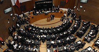 Senado aprueba reforma para permitir armamento en empresas del Estado