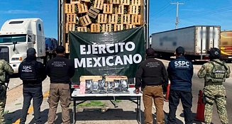 Decomisan 32 kg de fentanilo ocultos en tráiler con nopales en Sonora