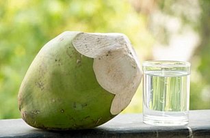 Cómo usar el agua de coco como fertilizante natural para árboles frutales