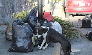 Crece el Problema de Basura en Tlaxcala: Vecinos Exigen Acción Inmediata