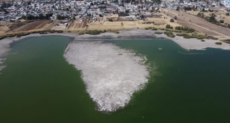 Contaminación en la laguna de Acuitlapilco: Xiloxoxtla actúa