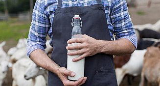 México, octavo productor mundial de leche bovina