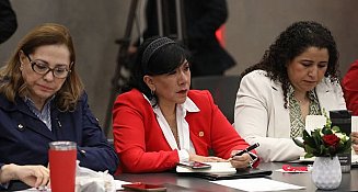 "Aquí estaremos siempre defendiendo a los mexicanos": se pronuncia Anabell Ávalos ante Senado