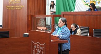 Necesaria la homologación de ley de PDP en Tlaxcala ": BAL   