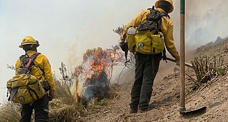 Fuerzas estatales y federales unen esfuerzos contra incendios en Puebla