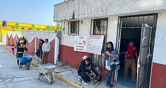 Cirugías gratuitas de esterilización animal en Tlaxcala: 500 procedimientos realizados