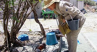 Dengue en Puebla: 22 nuevos casos y más de 4,400 contagios acumulados