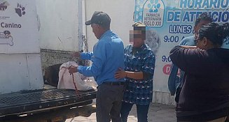 Indignación en Tlaxcala: exigen justicia por perro atacado