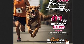 ¡Disfruta la Carrera del Perro en Atlixco este domingo con tu lomito!