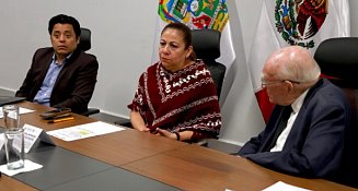 No habrá cambios al artículo que sanciona el espionaje digital: Laura Artemisa García