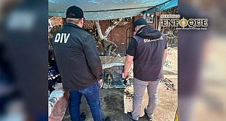 Tijuana rescata 21 aves en operativos contra venta ilegal