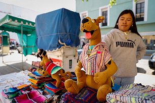 ¡Guaguarongos! Ponchos artesanales para mascotas que protegen del frío y celebran la tradición tlaxcalteca