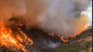 Incendios forestales arrasan Tlaxcala: La Malinche, la más afectada