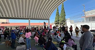Servicios gratuitos para el bienestar animal en Valle del Paraíso