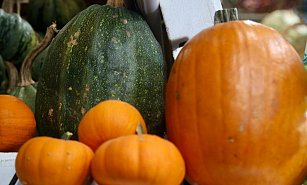 Aumenta el precio de la calabaza de Castilla mientras la americana gana terreno