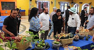 Inicia la temporada del Chile en Nogada en Puebla