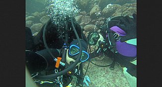 Investigadoras estudian enfermedad mortal que afecta a los peces en Galápagos