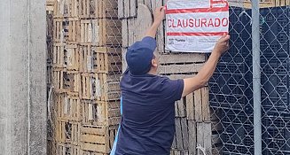 El Ayuntamiento de Puebla, a través de la Secretaría de Gestión y Desarrollo Urbano (SGyDU), realizó la clausura de una obra en proceso en la Central de Abasto debido a la falta de permisos necesarios para su construcción. La supervisión, suspensión y eventual clausura se llevaron a cabo como parte del cumplimiento de la normativa en materia de Desarrollo Urbano.  La obra, que consistía en la construcción de dos bodegas en la 104 poniente de la Central de Abasto, fue notificada por la Dirección de Desarrollo Urbano los días 17 y 18 de septiembre de 2024. Tras el procedimiento administrativo correspondiente, el día de ayer se procedió a colocar los sellos de clausura, deteniendo cualquier avance en la construcción.  El Ayuntamiento de Puebla ha confirmado que dará seguimiento al proceso administrativo para asegurar el cumplimiento de la ley y prevenir riesgos potenciales que la obra pudiera generar en la zona, en beneficio de la seguridad y el desarrollo ordenado de la ciudad.  Esta acción reafirma el compromiso de las autoridades municipales con el respeto a las normativas urbanísticas y con la vigilancia constante para evitar construcciones irregulares.