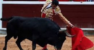 Sheinbaum revisará la continuidad de las corridas de toros en México como parte de su postura en defensa de los animales