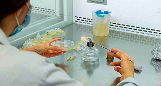 Rompiendo el mito: la ciencia no es un privilegio para genios