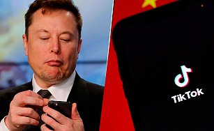 TikTok rechaza rumores de venta a Elon Musk en medio de tensiones con EE. UU.