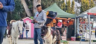 Denuncian caso de maltrato y explotación animal en Feria de Apizaco