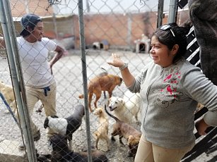 Refugio “Huellitas con Alma” asegura compromiso con los peludos, no cierra sus puertas