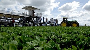 Tlaxcala enfrenta baja económica, pero destaca en sectores clave
